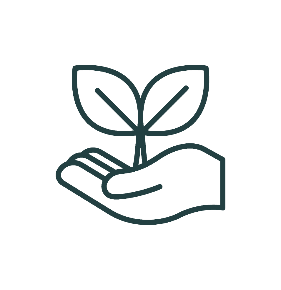 Plant in a hand icon